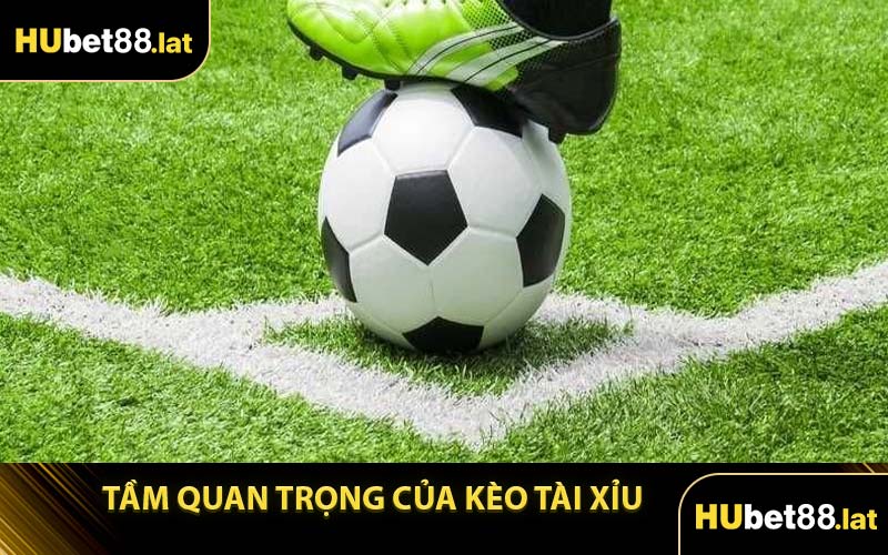 Tầm Quan Trọng Của Kèo Tài Xỉu