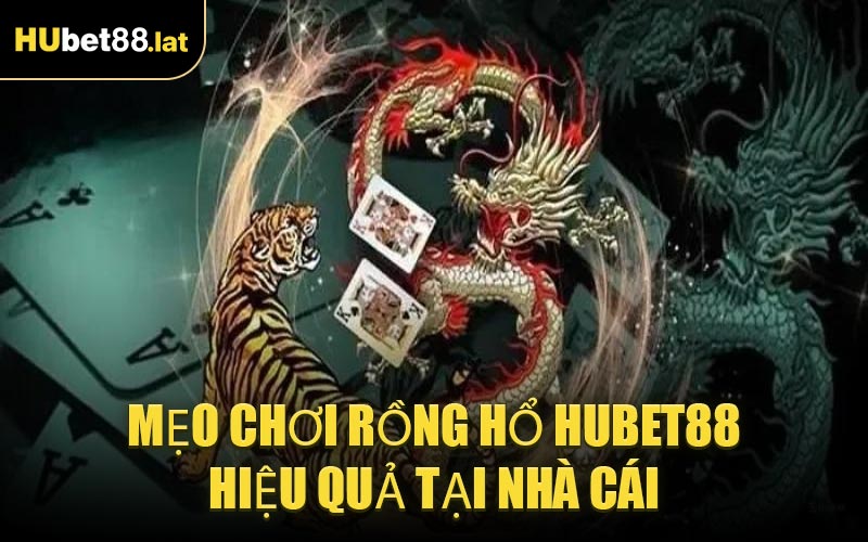 Mẹo Chơi Rồng Hổ HUBET88 Hiệu Quả Tại Nhà Cái